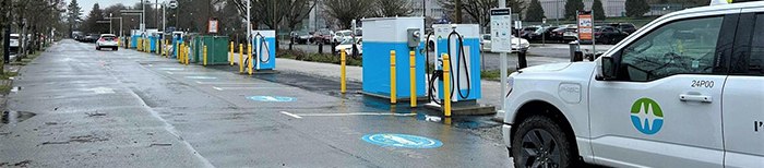 Greenest City news